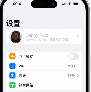 平坝appleID维修服务iPhone设置中Apple ID显示为灰色无法使用 