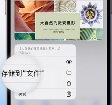 平坝apple维修中心分享iPhone文件应用中存储和找到下载文件