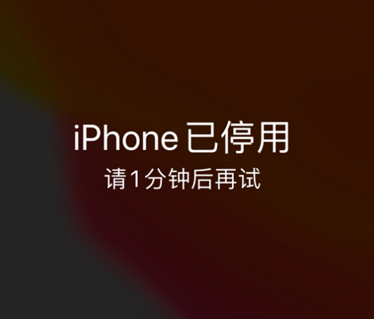 平坝苹果手机维修分享:iPhone 显示“不可用”或“已停用”怎么办？还能保留数据吗？ 