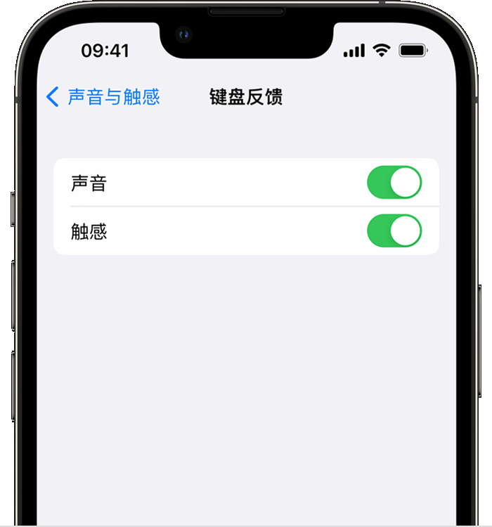 平坝苹果14维修店分享如何在 iPhone 14 机型中使用触感键盘 