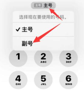 平坝苹果14维修店分享iPhone 14 Pro Max使用副卡打电话的方法 