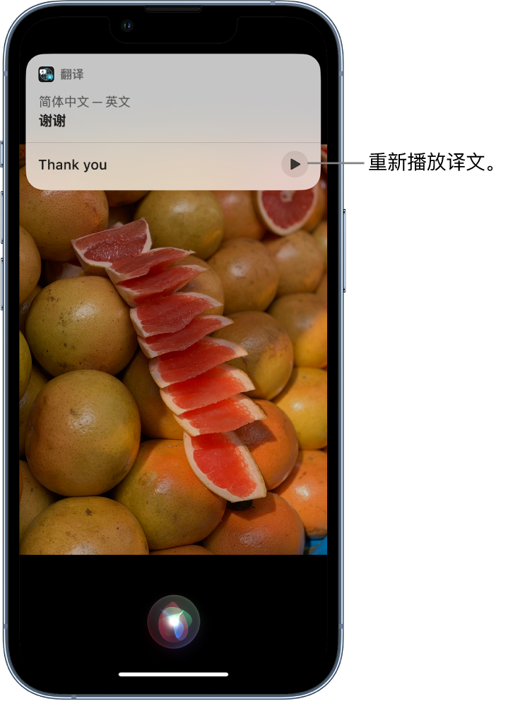 平坝苹果14维修分享 iPhone 14 机型中使用 Siri：了解 Siri 能帮你做什么 