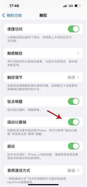 平坝苹果手机维修分享iPhone手机如何设置摇一摇删除文字 