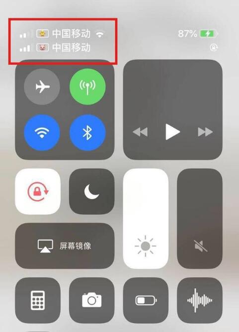 平坝苹果手机维修分享为 iPhone 12 双卡设置标签 