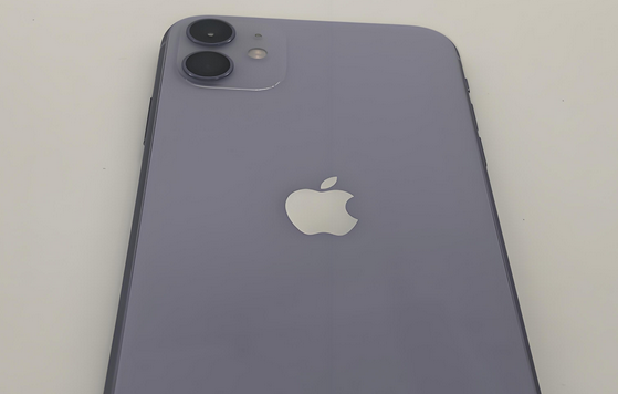 平坝苹果11系统维修分享iPhone11手机系统崩溃无法开机如何解决